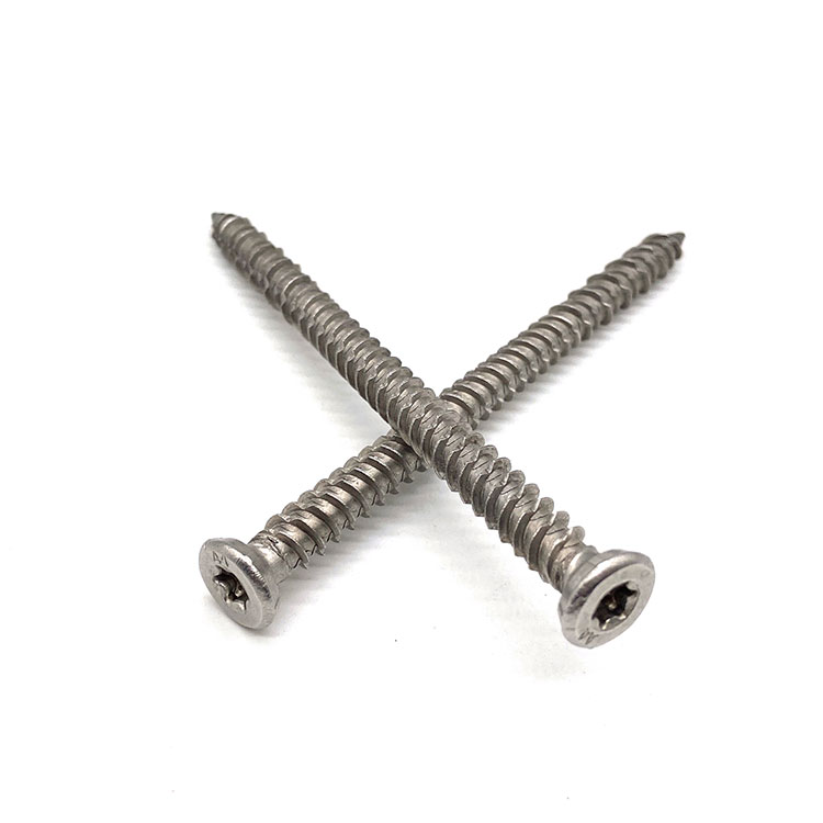 Ss304 Ss316 Pan Head Cross Self-tapping Phillips Full Thread