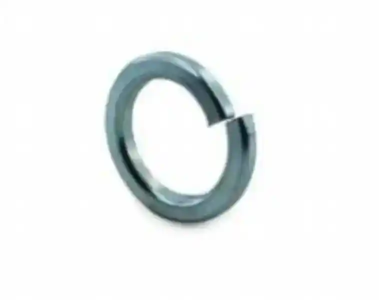 Spring washer for assembly fixing