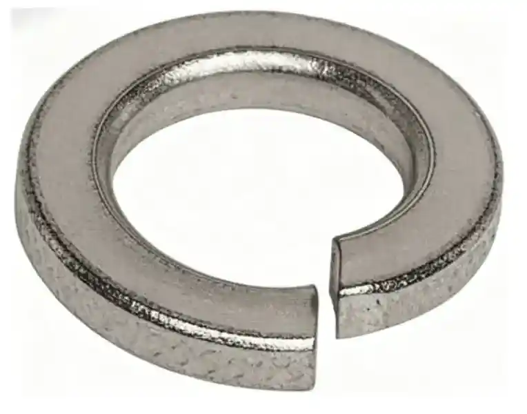 Spring washer for assembly fixing